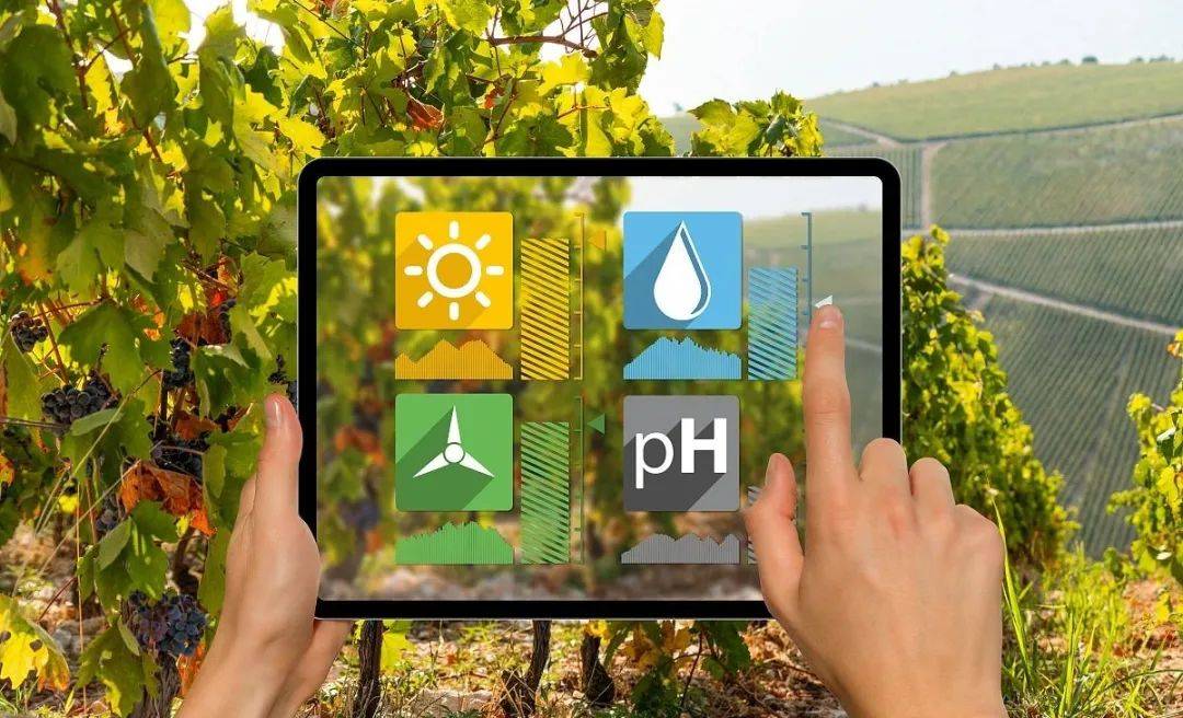 萬棚“數(shù)字農(nóng)場”應(yīng)用大數(shù)據(jù)和物聯(lián)網(wǎng)技術(shù)