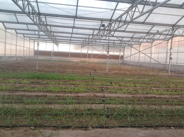 山東萬棚數據公司智能水肥解決方案丨環境數據采集器