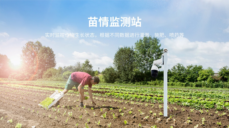 苗情監(jiān)測站