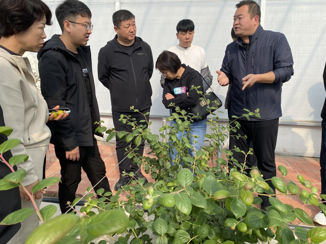 吉林省延邊州考察團蒞臨棚聯棚考察智慧農業